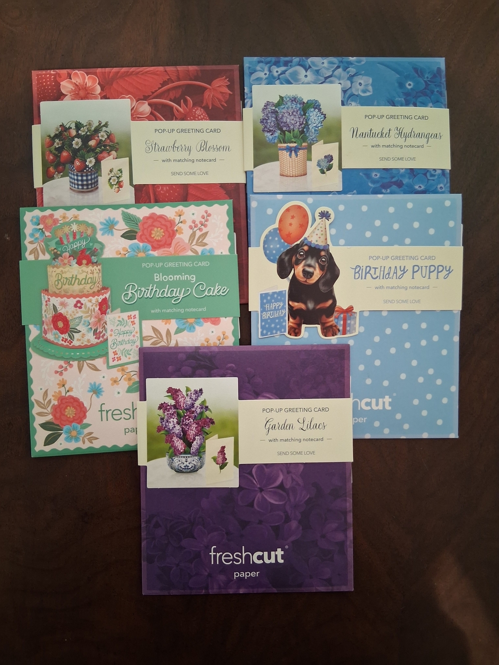 NEW! 5 Pop-Up Greeting Card Set -  1004